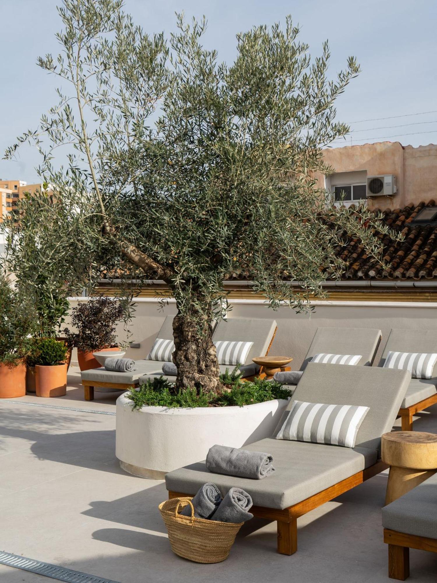 Hotel Well And Come مالقة المظهر الخارجي الصورة